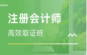 注册会计师培训班