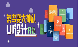 UI设计基础班
