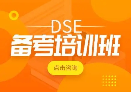 DSE课程
