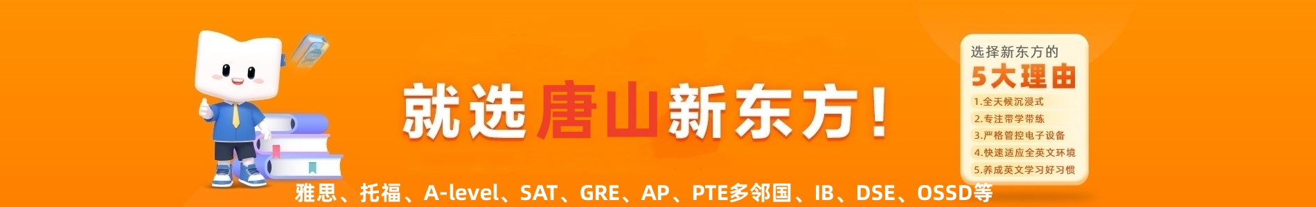 新东方国际课程