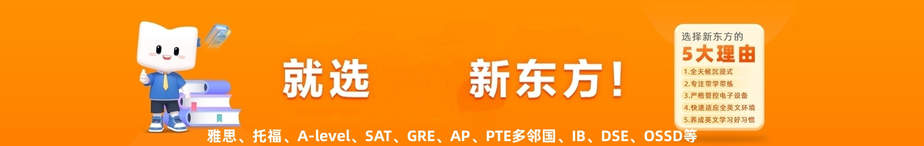 新东方国际教育