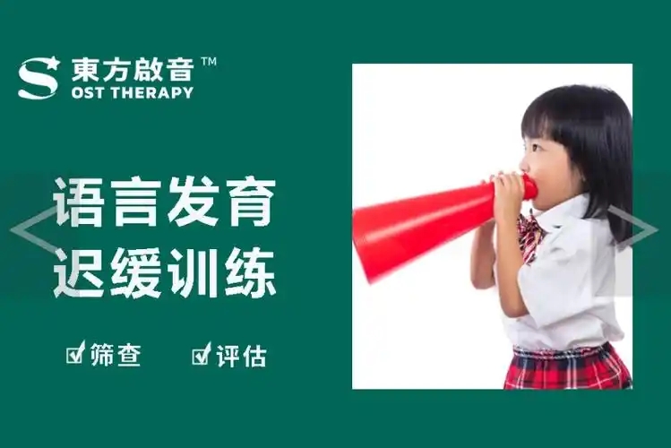 ST言语康复