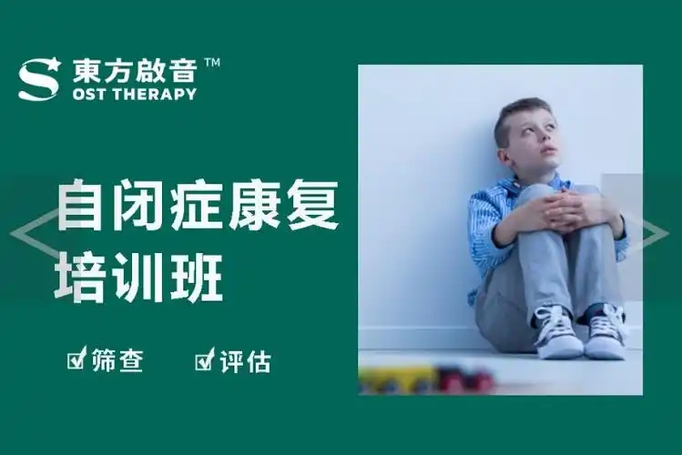 自闭症干预课程