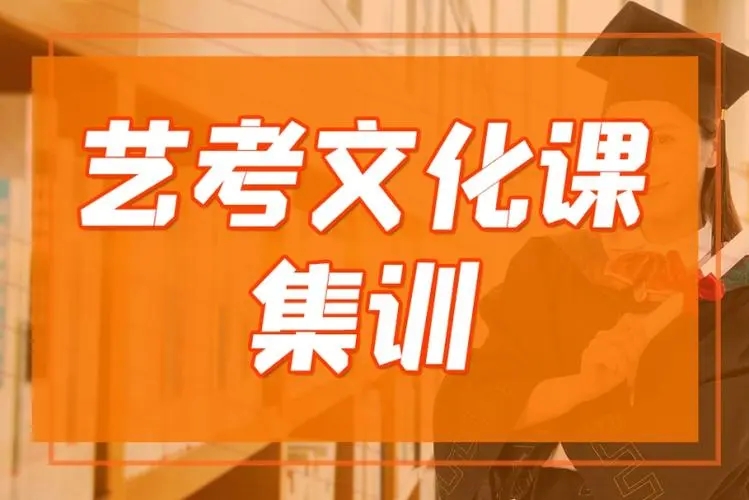 艺考文化课