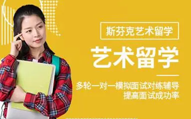 广州定制VIP艺术留学方案