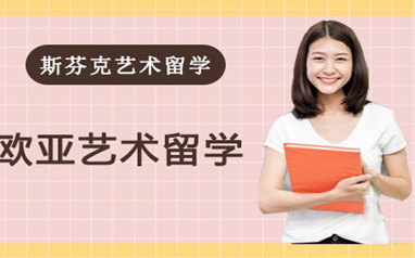 深圳定制VIP艺术留学方案
