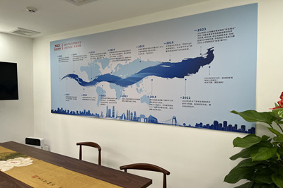 发展历程