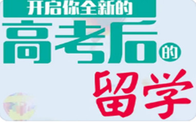 高考留学双规划