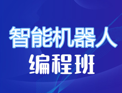 海口智能机器人编程