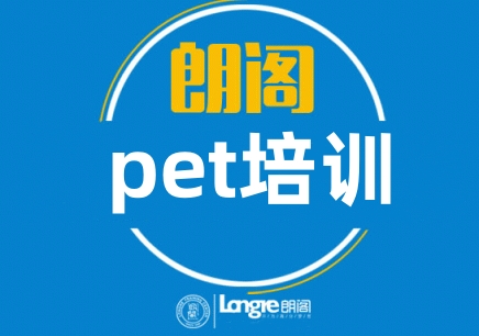 pet培训