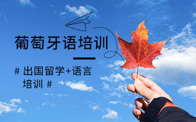南京新视线葡萄牙语