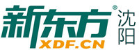 沈阳新东方教育