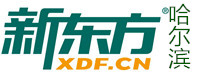 哈尔滨新东方教育