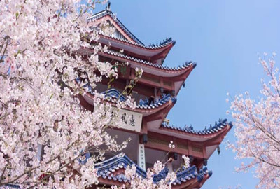 南昌樱花国际日语机构