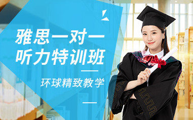 深圳环球雅思1v1课程