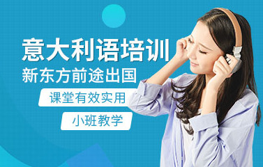 天津新东方意大利语课程