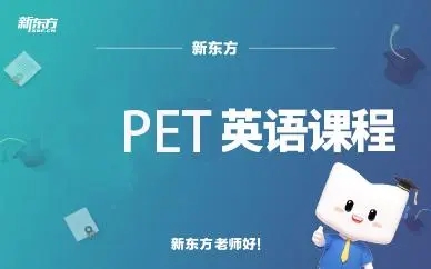 PET培训