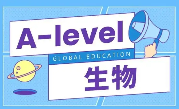 Alevel培训