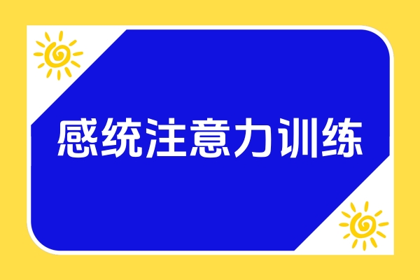 感统注意力