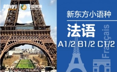 青岛新东方法语培训课程