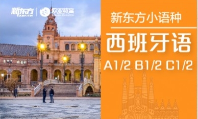 青岛新东方西班牙语培训课程
