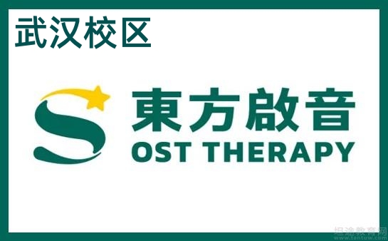 武汉东方启音儿童康复中心