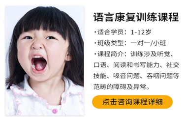深圳儿童语言康复训练课程