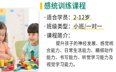 深圳东方启音儿童感统训练