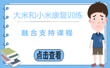 合肥大米和小米融合支持