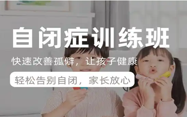 成都自闭症干预训练