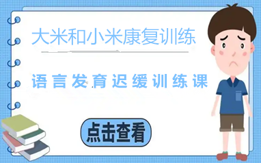 成都大米和小米语言康复