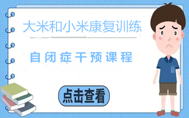 郑州大米和小米自闭症干预
