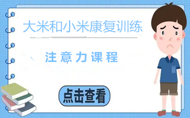 郑州大米和小米注意力
