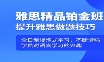 新东方雅思精品班