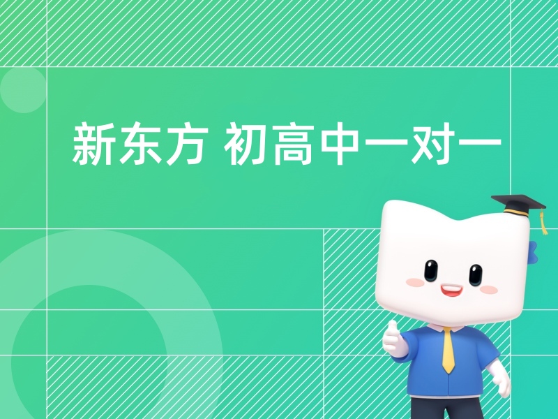 新东方初高中一对一