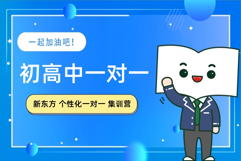新东方初高中一对一