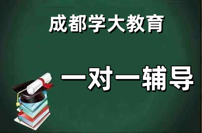 个性化辅导