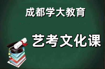 艺考文化课辅导