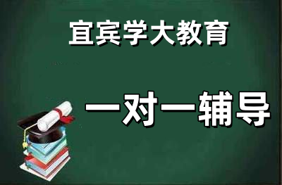 个性化辅导