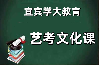 艺考文化课辅导