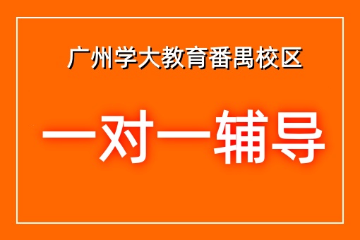 个性化辅导
