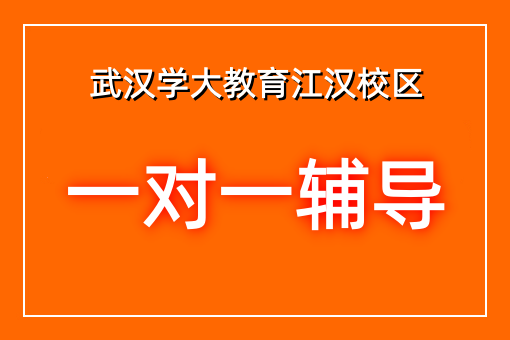 个性化辅导