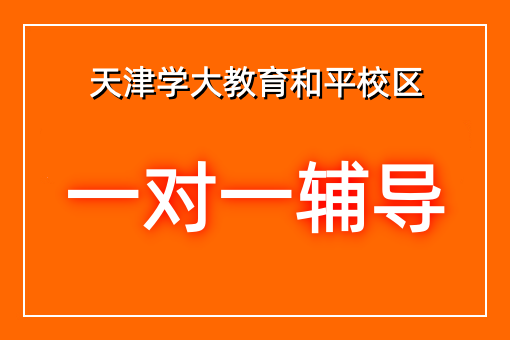 个性化辅导