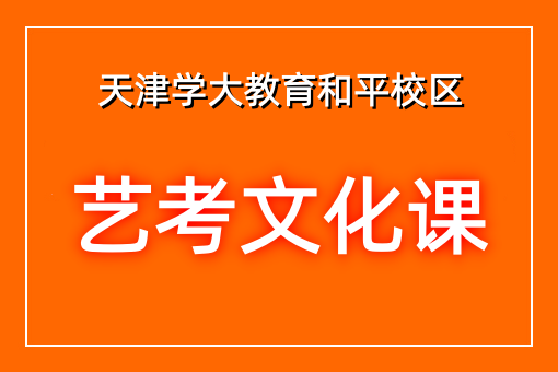 艺考文化课辅导