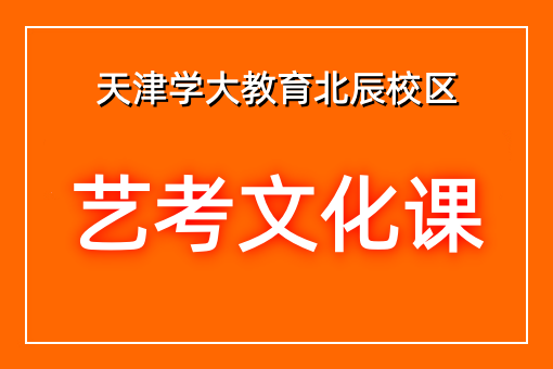 艺考文化课辅导