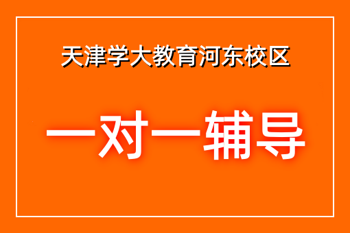 个性化辅导