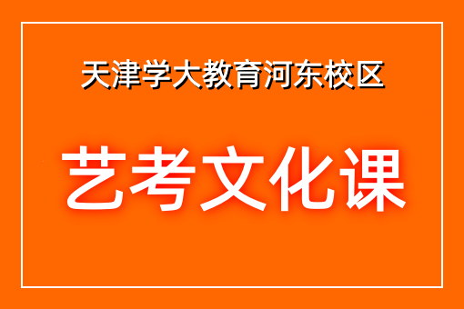 艺考文化课辅导