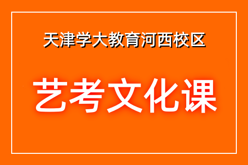 艺考文化课辅导