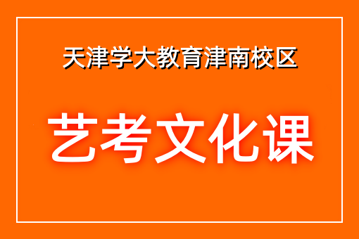 艺考文化课辅导