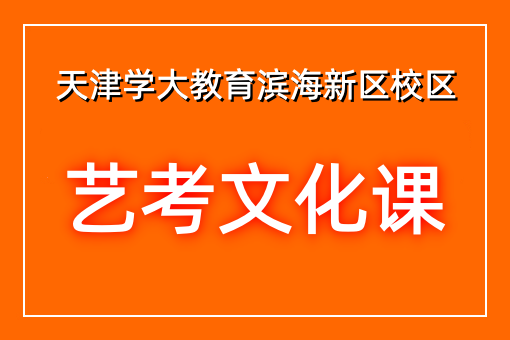 艺考文化课辅导